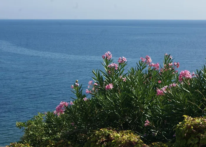 Hébergement de vacances Maison Individuelle Avec Vue Sur - Les Lauriers