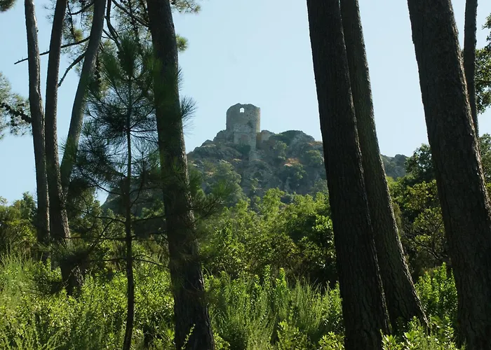 Hébergement de vacances Maison Individuelle Avec Vue Sur - Les Lauriers