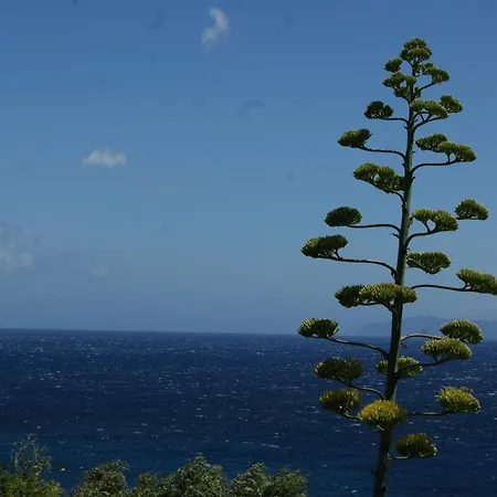 Maison Individuelle Avec Vue Sur - Les Lauriers Cagnano