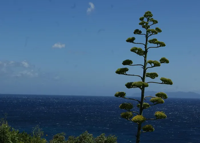 Maison Individuelle Avec Vue Sur - Les Lauriers Cagnano